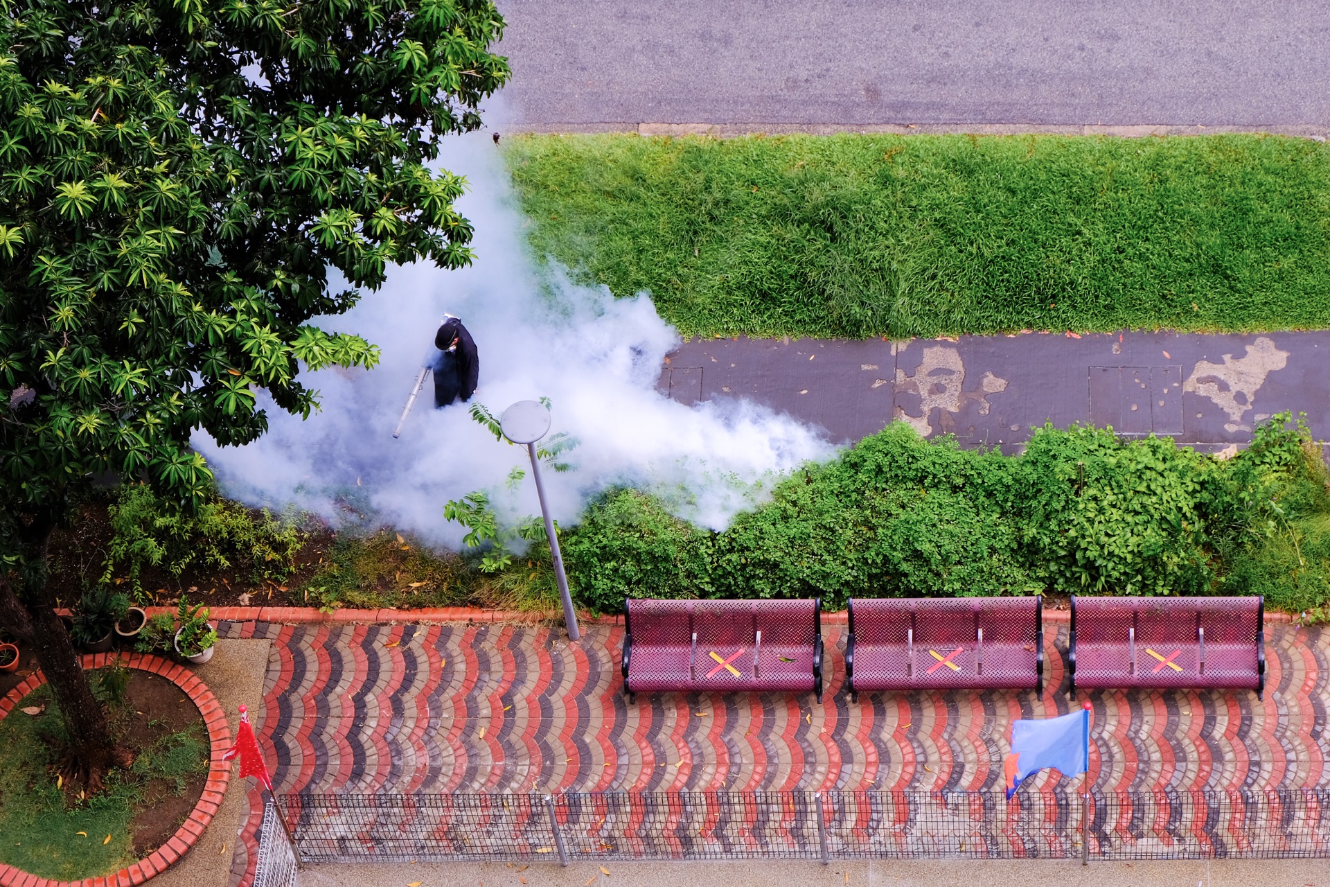 Pest control work in Singapore